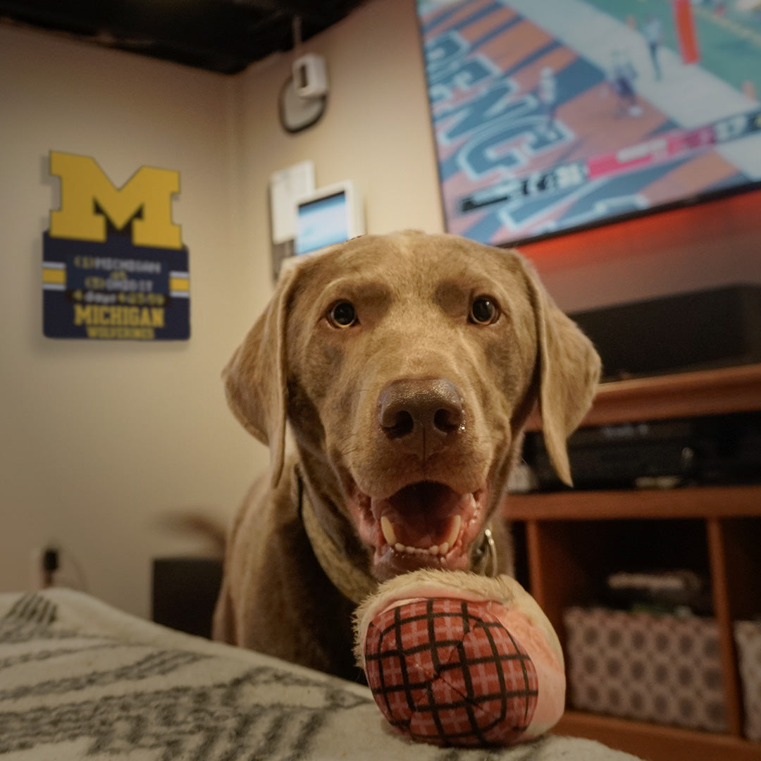 Bring Game Day Home | TeamTicker Digital Sports Signs